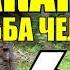 МАКАРЫЧ В ТАЙГЕ РОДНАЯ КРОВЬ КАК НАЙТИ ЖЕНУ 2 ПОХОД ЗА ЖЕНОЙ НОВАЯ МАЧЕХА 6 из
