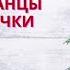 ТАНЕЦ ИГРА Елочки пенечки Игра на ускорение Танцы для детей Игровые танцы