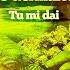 Tu Mi Dai