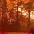 Crews Battle Wildfires In North And South Carolina Amid Dry Conditions And Gusty Winds