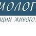 8 класс Биология Уровни организации живого Ткани человека