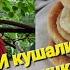 ОДЕССА ВКУС ДЕТСТВА от бабушки СУПЕРОВСКИЕ ПЛАЦЫНДЫ со ЩАВЕЛЕМ И СЫРОМ