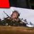 7 SCARY Videos That Ll Make Your Knees Wobble