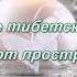 Тибетские Поющие чаши Очищение пространства