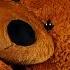 Sing Along Teddy Bear Song With Lyrics Starring Marty Moose