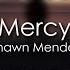 Shawn Mendes Mercy 8D AUDIO