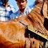 Sher E Bharat India S 1st 200 KG Beetal Andul Bakra From Shalimar Goats Pune