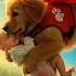 Brave Dog Leaps Into Air To Save Falling Baby From Ferris Wheel Hero Dog Rescue In Public Park
