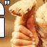History Of DOG From Mad Max 2