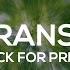 FREE Smooth Transitions Preset Pack For Adobe Premiere Pro