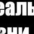 Коты воители в реальной жизни 6