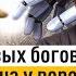 Древняя мудрость на все времена отец Андрей Ткачёв