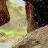 Do Big Rocks Contain Even BIGGER Fossils We Hammered Rocks In Size Order To Find Out