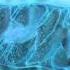 How Mitochondria Produce Energy