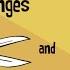 Physical And Chemical Changes