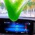 Trending Gadgets Smart Appliances Kitchen Tools Utensils Home Cleaning Beauty Tiktok Shorts