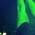 MASHUP The Tribe Vs Voodoo People Vini Vici Vs The Prodigy Stockholm Electronic Festival