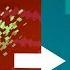 What Do Allergies Do To Your Insides