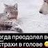 ТВОЙ ПУТЬ УСПЕХ МОТИВАЦИЯ МУДРЫЕ МЫСЛИ ЦИТАТЫ WEISE WORTE WISE THOUGHTS Motivation Relax Cata Dog