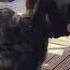 Naida Loves Cats Dog Cats Cute Funny Pets