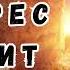 Христос воскрес звучит повсюду