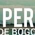 Arde Bogotá Los Perros LYRIC LETRA