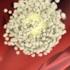 Ovulation Nucleus Health
