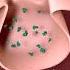 Cell Biology Active Transport