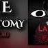 La Luna Falsa Theme THE LOBOTOMY Maebi