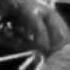 Mike Tyson Training Highlights HD