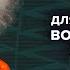 Выборы в Германии Санкции против России США Венедиктов Утренний разворот 07 10 24