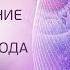 Восстановление Любви в программе рода ЖЕНСКАЯ ПРАКТИКА Устранение негативных родовых сценариев