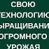 Часть 2 Сто 100 килограмм с одного куста картошки это реально 795 25