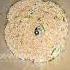 Cosmos Heavy Duty Mixer Grinding Of Coconut Chutney EssEmm Corporation