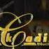 Legend S Black Cadillac Blues Band
