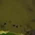 Rayman Legends All Invaded All Dark Bad Rayman Invaded Levels