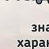 Хадиджа значение и характеристика имени Красивые мусульманские имена для девочек