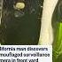 California Man Discovers Camouflaged Surveillance Camera In Front Yard