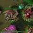Rollex HU Vs ArminvB ORC Warcraft 3 Classic RN8341