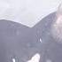 Auger Angel Dressed In Snow Official Video