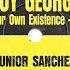 Mind Your Own Existence Junior Sanchez Edit