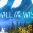 Ori And The Will Of The Wisps OST Escaping A Foul Presence Escape Segment Loop