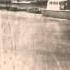 Reelfoot Lake Tradition Mystery Lore