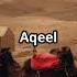 Muslim Ibn Aqeel Join Us In Honoring This Noble Martyr Who Stood For Truth ImamHusayn Kufa
