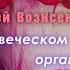 Андрей Вознесенский В человеческом организме