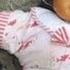 Angel Baby S Circus Adventure