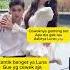 Lucinta Luna Photoshoot Dengan Pacar Barunya Trending Lucintaluna Shortvideo Viralvideo Fyp