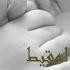 Ya Deemata Khayr Wa Ataa Muhammad Al Muqit يا ديمة خير وعطاء محمد المقيط