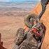 They Launched Off A Cliff Driver Lucky To Be Alive