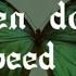 Fallen Down Speed Up